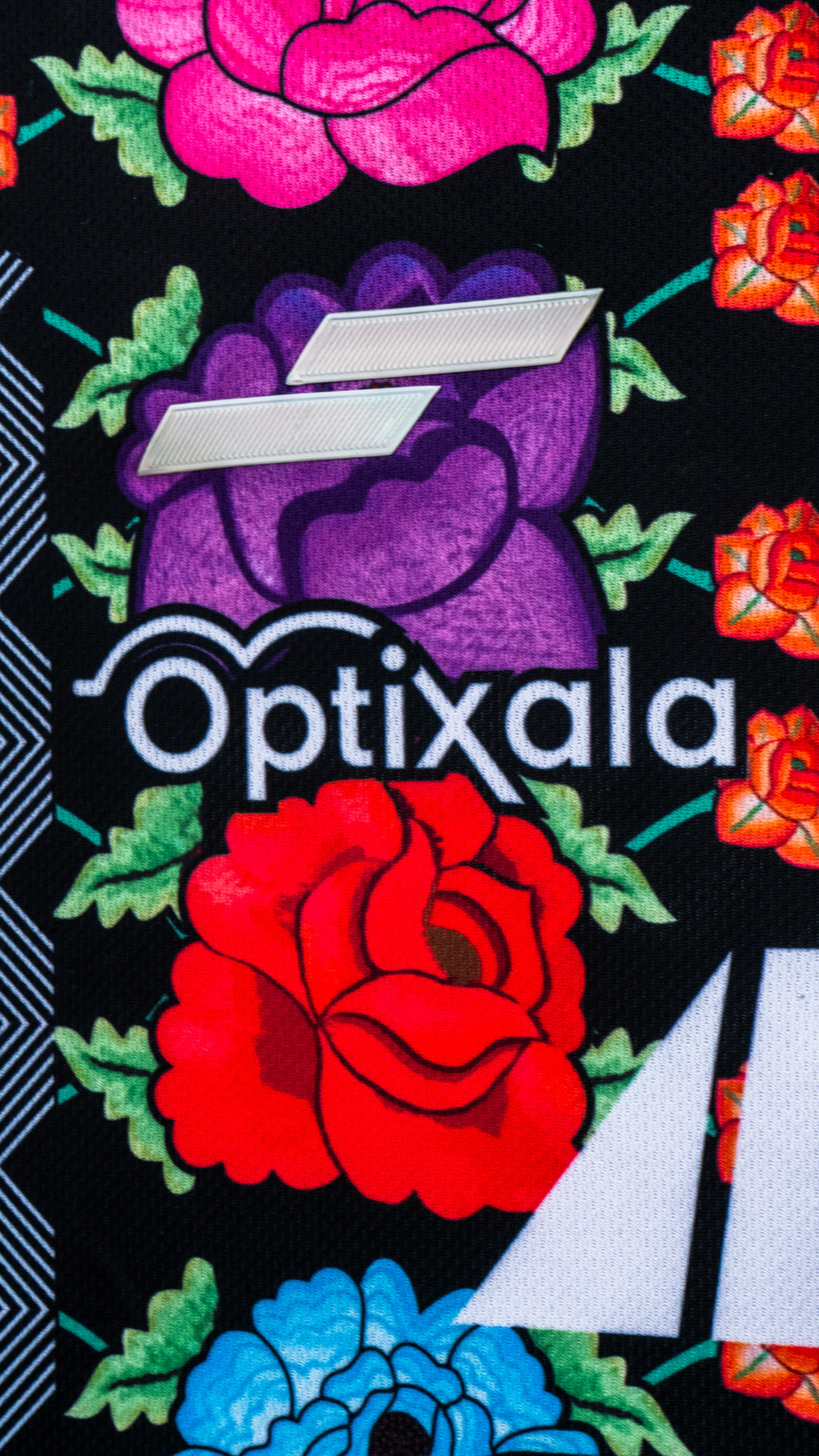 Alebrijes De Oaxaca Rare Jersey