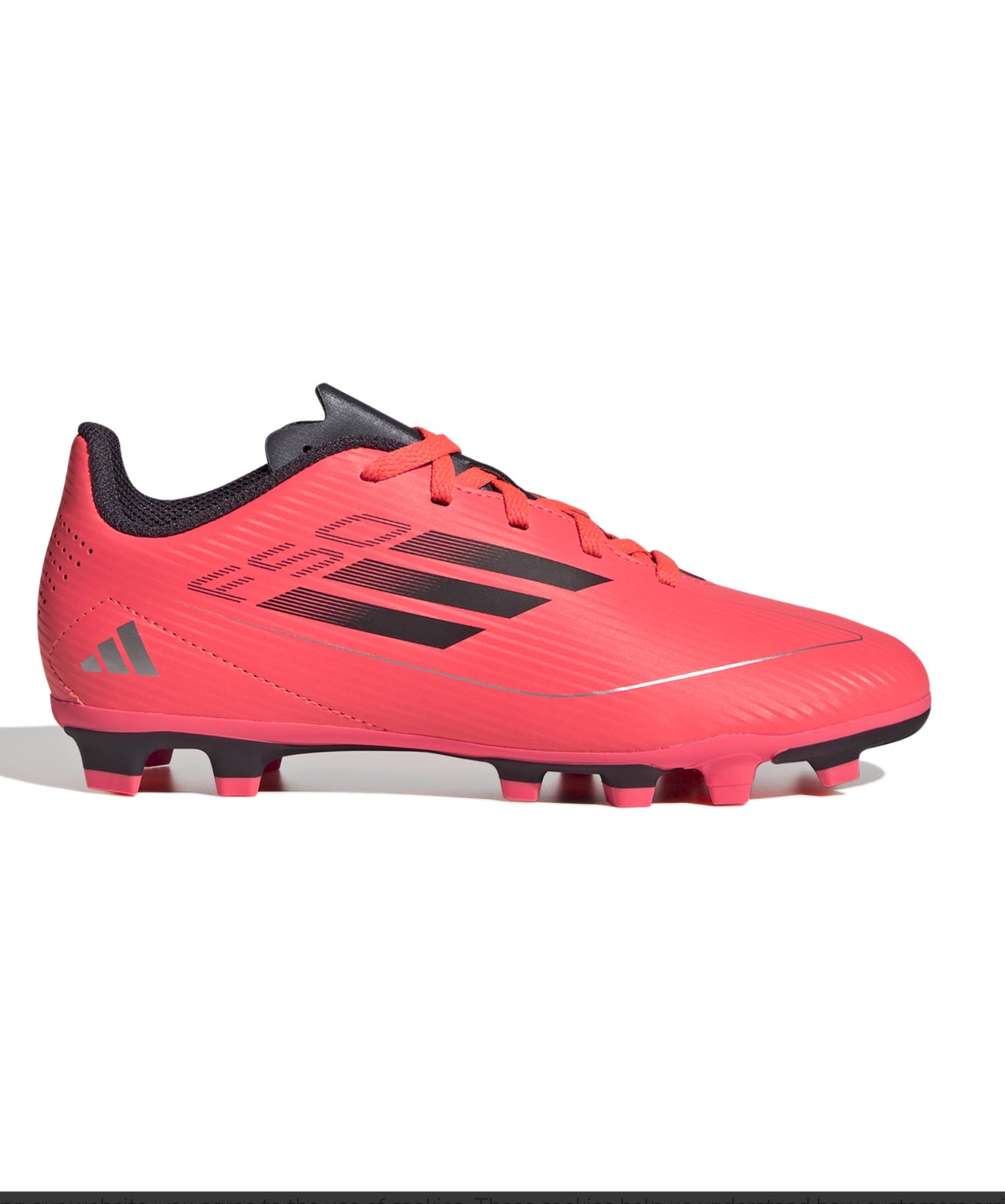 F50  CLUB FXGI