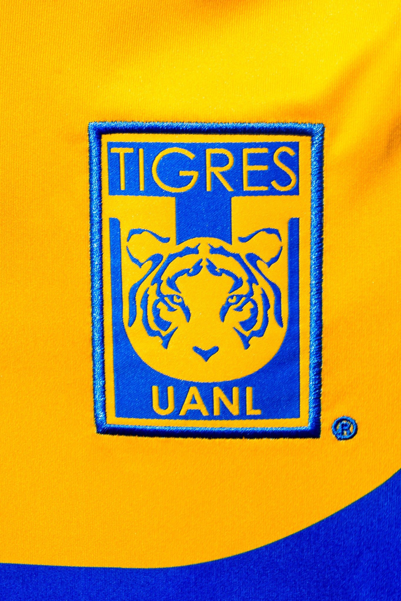 adidas Tigres UANL 24/25 Home Jersey (Team College Gold)